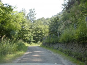 途中の道