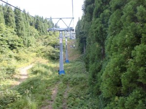 定点観測