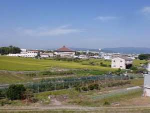 体育館