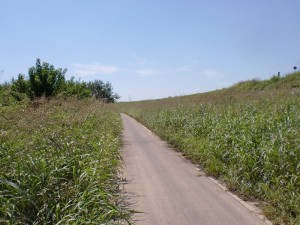 川原走行区間