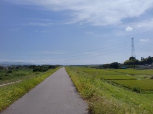 自転車道 自転車道