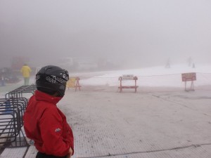 久しぶりの雪です♪ 久しぶりの雪です♪
