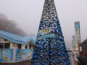 文化遺産・・