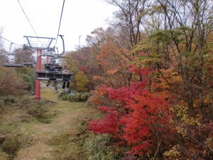 紅葉