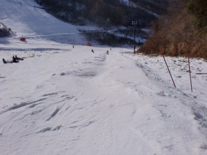 コブライン上から コブライン上から