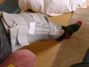 プロテクター