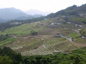 丸山千枚田