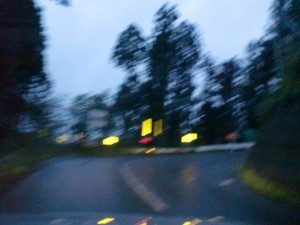 定点観測１