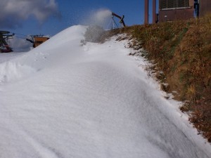 雪質 雪質