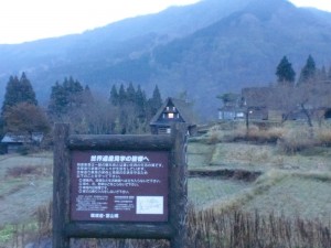 観光? 観光?