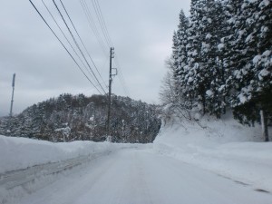 ゲレンデへの登山道 ゲレンデへの登山道