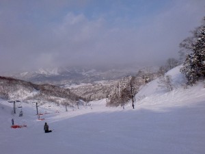 日差しが。。