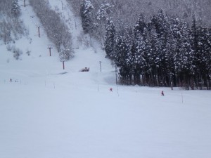 ポール ポール