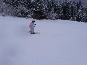 ショートポール