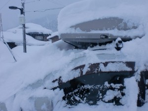 発掘作業 発掘作業