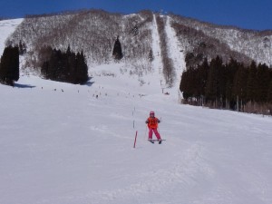 ショートポール