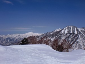 山頂 山頂