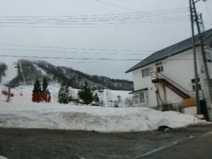 ほおのき ほおのき