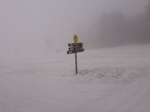 ゲレンデ積雪 ゲレンデ積雪