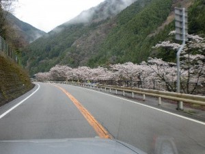 帰路 帰路