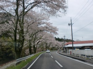 花見走行 花見走行