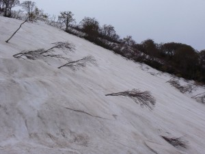 リフトの西側