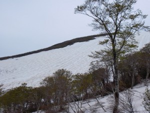 大斜面下部