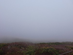 姥山頂(庄内方面) 姥山頂(庄内方面)