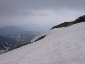 海老沢 海老沢