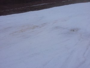 ゲレンデ状況2 ゲレンデ状況2