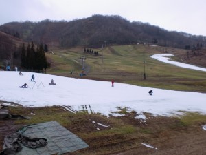 雪ないですぅ~! 雪ないですぅ~!
