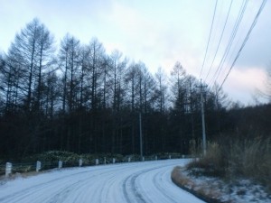 圧雪路 圧雪路