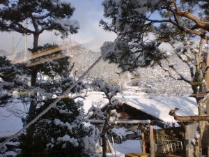 惣五郎（お宿）