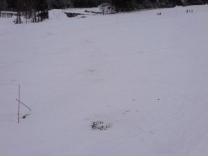 ゆ・・雪が・・ ゆ・・雪が・・