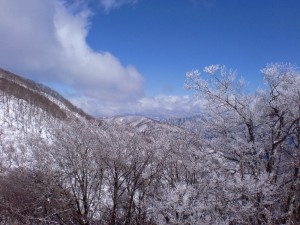 雪混じりのお天気 雪混じりのお天気
