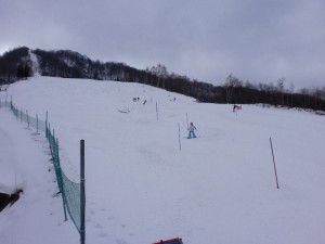 ポール練習(スラローム)1 ポール練習(スラローム)1