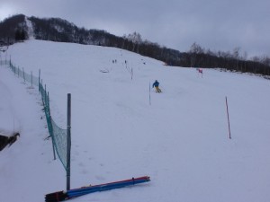 ポール練習(スラローム)2 ポール練習(スラローム)2