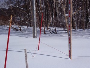 積雪測定点 積雪測定点