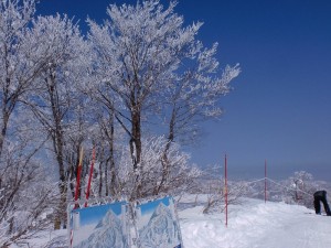 毛無山の樹氷 毛無山の樹氷