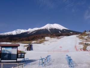 マイア(ベース) マイア(ベース)
