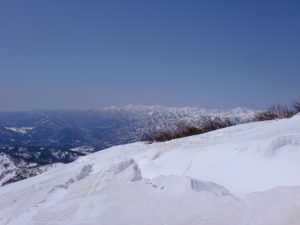 海老沢 海老沢