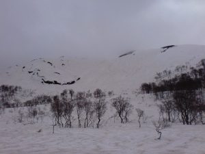 滑り降りました♪ 滑り降りました♪