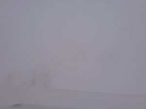 月山リフトへ
