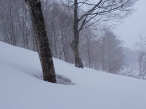 清水コース1 清水コース1
