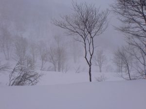 清水コース2 清水コース2
