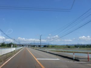 新潟