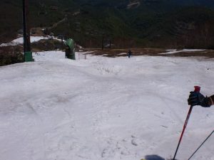コブ