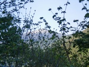 燧(ひうち)・・展望台から 燧(ひうち)・・展望台から