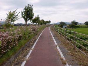 自転車道