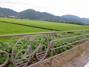 自転車道のフェンス